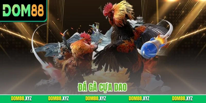 Đá Gà Cựa Dao