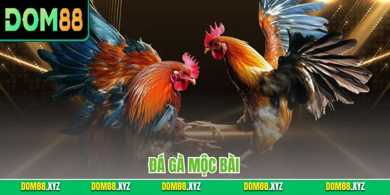 Đá Gà Mộc Bài